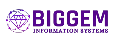 BigGem Logo